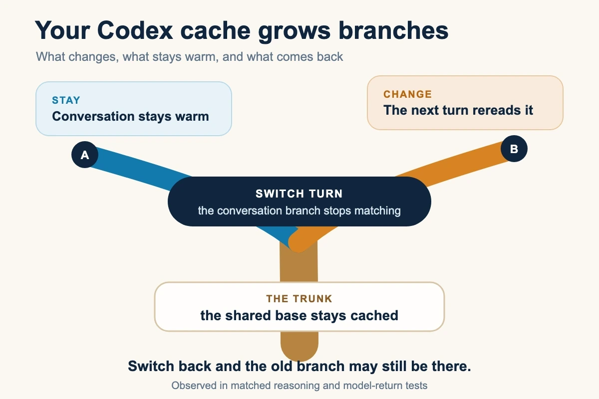 A tree-shaped model of Codex prompt caching shows a shared cached base, two conversation branches, a colder switch turn, and the possible return of an earlier branch.
